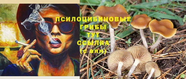 ГАЛЛЮЦИНОГЕННЫЕ ГРИБЫ Абаза