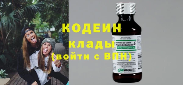 ГАЛЛЮЦИНОГЕННЫЕ ГРИБЫ Абаза