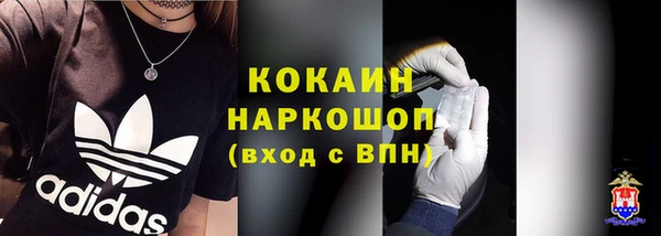 ГАЛЛЮЦИНОГЕННЫЕ ГРИБЫ Абаза