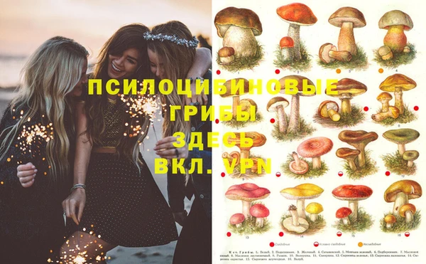 бошки Абинск